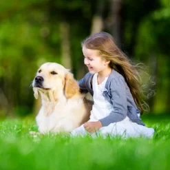 Unique Bargains Dog Muzzle With Reflective Adjustable Strap Gray 1 Pc 9 Unique Bargains Dog Muzzle With Reflective Adjustable Strap Gray 1 Pc -Festival Store GUEST 0636f91e f156 4acf b3d8 2fe4dc808f39