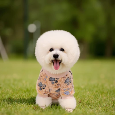 Paaaawaters Dog Fuzzy Velvet Pajamas, Dog Winter Clothes For Small Dogs Boy Girl, Pet Jumpsuit, Doggy Apparel 4 Paaaawaters Dog Fuzzy Velvet Pajamas, Dog Winter Clothes For Small Dogs Boy Girl, Pet Jumpsuit, Doggy Apparel - Image 4