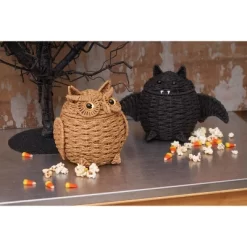 C&F Home Bat Handwoven Halloween Premium Trick Or Treat Candy Basket Container -Festival Store GUEST 1cba39d6 8838 432c 8772 31ad7569944e