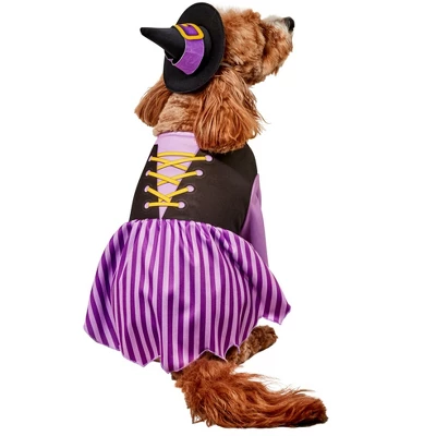 Rubies Purple Witch Pet Costume 1 Rubies Purple Witch Pet Costume