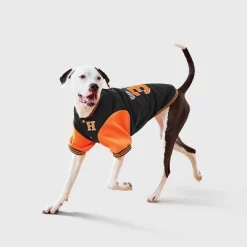 Football Letter Jacket Dog Full Body Costume - Boots & Barkley™ -Festival Store GUEST 38adb986 d522 4632 8187 460d4600ce55