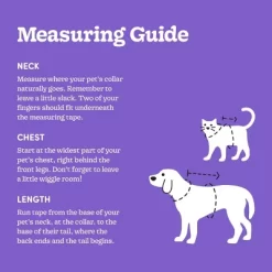 Spider Costume Dog And Cat Full Body Costumes - Boots & Barkley™ Purple -Festival Store GUEST 44c627a1 c057 4755 aa49 af3b0a2e3ef3 4