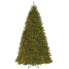 10' Prelit PowerConnect Dunhill Fir Artificial Christmas Tree Dual Color Lights - National Tree Company