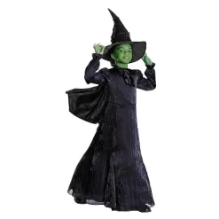 Disguise Wicked Girls' Elphaba Halloween Prestige Costume Dress - Black - 10-12