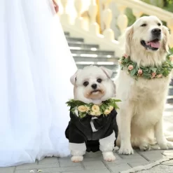 Unique Bargains Stylish Dog Tuxedo Black 1 Pc 11 Unique Bargains Stylish Dog Tuxedo Black 1 Pc -Festival Store GUEST 7761071b 2eaf 4f34 975a ed30410ab18c