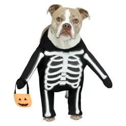 Fun World Skele-Dog Pet Costume