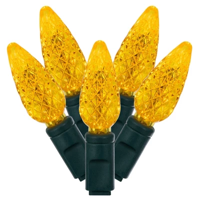 Vickerman Single Mold C6 LED Christmas Light Set 14 Vickerman Single Mold C6 LED Christmas Light Set - Image 14