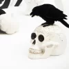 Gallerie II Skeleton Skull & Crow Decorative Halloween 8.5" Figurine