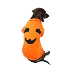 Midlee Pumpkin Face Dog Shirt Costume 12 Midlee Pumpkin Face Dog Shirt Costume -Festival Store GUEST c67efa7c 3b00 45d4 8238 cbc0a95c4d77