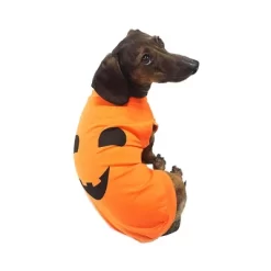 Midlee Pumpkin Face Dog Shirt Costume