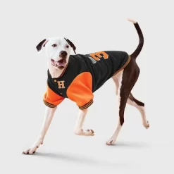 Football Letter Jacket Dog Full Body Costume - Boots & Barkley™ -Festival Store GUEST d60f8305 1d84 43c0 891d d4f90247b932