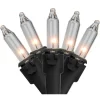 Northlight Mini Incandescent Christmas Lights - Clear - 10' Black Wire - 50ct
