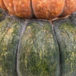 Northlight Tri-Color Pumpkin Stack Fall Harvest Decoration - 19" -Festival Store GUEST e28ad1e9 9871 4bcc 9009 10d68c0afba9