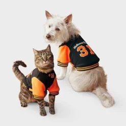 Football Letter Jacket Dog Full Body Costume - Boots & Barkley™ -Festival Store GUEST f8953f58 6fa6 447b 9219 870f8776feee